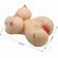 CRAZY BULL Herta Mini Torso Intimate Device TPR SkinTouch 497g