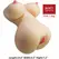 CRAZY BULL Fiona anatomski model torza, dvostruki ulaz, 7.1 kg, TPR SkinTech