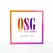 OSG Our Sex Game društvena igra za parove na više nivoa engleska verzija