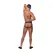 Male Power Jock S/M Burgundy sa intimnim sistemom prstenova i crnom trakom