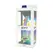 XRAY Crystal Transparent Intimate Model 16.5 cm x 4 cm Jelly Material