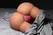 Mistress Jennifer Bubble Butt Dual Tunnel anatomski model, Medium, 23kg