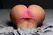 Mistress Jennifer Bubble Butt Dual Tunnel anatomski model, Medium, 23kg