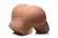 Mistress Jennifer Bubble Butt Dual Tunnel anatomski model, Medium, 23kg