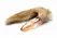 TAILZ Fox Tail Glass Plug Orange - Borosilicate Glass & Faux Fur 20cm
