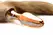 TAILZ Fox Tail Glass Plug Orange - Borosilicate Glass & Faux Fur 20cm