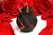 Bloomgasm Black Kiss Rose System Red/Black - Licking Motion Vibrator