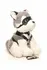 XR Brands Max Plush Dog Grey & White with Harness and Leash Set