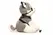 XR Brands Max Plush Dog Grey & White with Harness and Leash Set