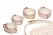 XR Brands Kitty Pink Bondage Set Vegan Leather Gold Accents Adjustable