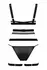 Le Desir Body Set with Straps & Detachable Suspender Belt Black S-L