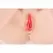 Kokos Maria Intimate Machine onahol, ultra mekani TPE anatomski model