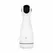 Teazers Automatic Intimate Machine 4-in-1 višenamenski aparat crni