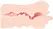 Evolved Real Mouth intimni simulator sa anatomskom teksturom 15 cm