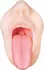 Evolved Real Mouth intimni simulator sa anatomskom teksturom 15 cm