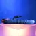Evolved The Ringer Rabbit Dual-Action Vibrator Royal Blue Silicone USB
