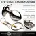 Master Series Vault Stainless Expander Plug with Locking System, Silver