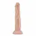 Blush Dr. Skin anatomski dildo od 19 cm sa vakuum postoljem u bež boji