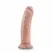 Dr. Skin Vanilla anatomski model od 20 cm sa vakuumskim postoljem