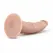 Dr. Skin Vanilla anatomski dildo od 18 cm sa vakuum postoljem, PVC