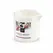 Exotiq masažna sveća Bamboo Orchid 60g: Formula za aromatično opuštanje