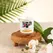 Exotiq Ylang Ylang mirisna masažna sveća 60g - Wellness aromaterapija
