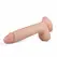 Real Fantasy Glynn Anatomski Model sa Usisnom Bazom, Boja Kože, 21 cm