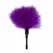 Ouch! Small Feather Tickler Purple - Compact Sensory Accessory