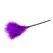 EasyToys Feather Tickler Long Handle Purple - Soft Touch Accessory