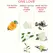 Eye of Love One Love Feromonski parfem 10ml - Citrusna i cvetna esencija