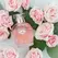 Eye of Love One Love Deluxe Parfem 50 ml - Citrusna i cvetna esencija za žene