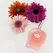 Eye of Love One Love Deluxe Parfem 50 ml - Citrusna i cvetna esencija za žene