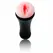 Baile Play Start Intimate Machine TPR Anatomical Model with Lid 16cm