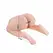 Baile Passion Lady Anatomical 3D Intimate System with Voice, 10kg