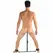 Metal Hard Structure Adjustable Restraint Frame for Accessories