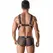 ANAIS Men Axel Harness III L/XL - Black Adjustable Body Accessory