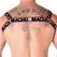 MACHO Double Harness Pride Limited - Adjustable Elastic Fashion Accessory