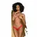 Penthouse Dangerous Darling Thong Red S/M - Floral Lace Sustainable Lingerie