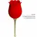 Pretty Love Rose Lover Intimate Rose Massager 12 Modes Red Silicone USB