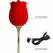 Pretty Love Rose Lover Intimate Rose Massager 12 Modes Red Silicone USB