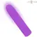 INTENSE Symone USB Rechargeable Vibrating Bullet Purple 10cm Compact