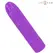 INTENSE Symone USB Rechargeable Vibrating Bullet Purple 10cm Compact