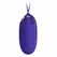 Pretty Love Berger Wireless Intimate Egg Violet 12 Modes Silicone