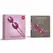 Fun Factory SMARTBALLS DUO White/Grape Pelvic Floor Trainer Advanced 72g