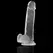 XRAY Transparentni Intimni Model sa Anatomskom Bazom 22cm x 4.6cm