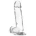 XRAY Prozirni 20cm Anatomski Model sa Bazom, Transparentni Jelly Materijal