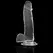 XRAY Prozirni 20cm Anatomski Model sa Bazom, Transparentni Jelly Materijal