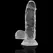 XRAY X Ray Clear 15.5 cm Transparent Intimate Model with Suction Base