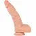 XISE Claude Dual Density Silicone Anatomical Model 16.5cm with Suction Base