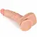 XISE Claude Dual Density Silicone Anatomical Model 16.5cm with Suction Base